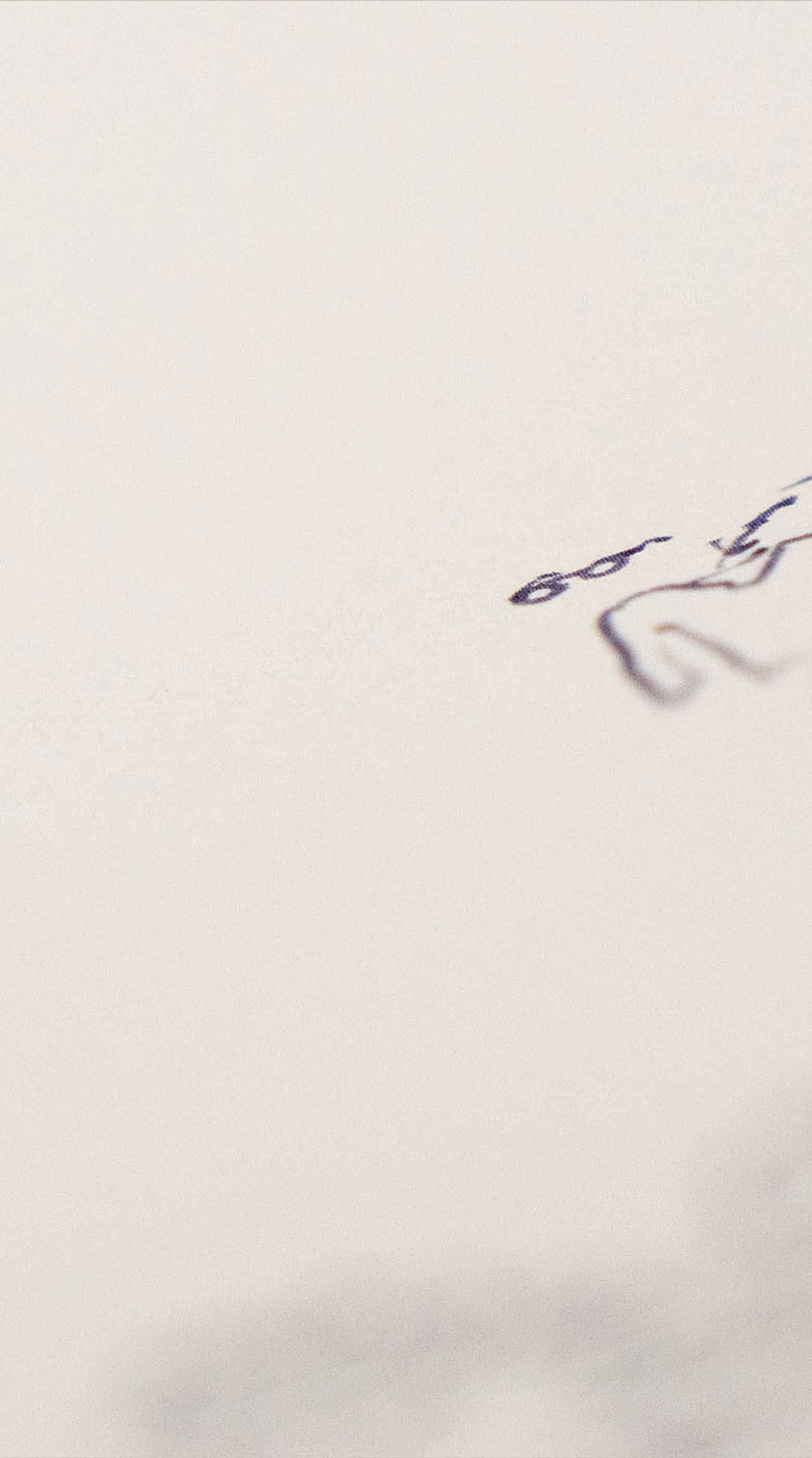 森山直太朗　原画I 、II ポストカード＆チラシ付き 森山直太朗 弾き語りベストアルバム「原画」特設サイト